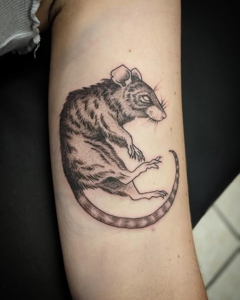 Rat Tattoo Blackwork, Rat Tattoo Traditional, 2024 Tattoo, Rat Tattoo, Woodcut Tattoo, Rat King, Traditional Flash, Leg Sleeve, Leg Sleeves