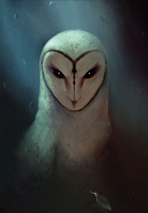 Legend Of The Guardians: The Owls Of Ga'hoole Nyra, Barn Owl Character Design, Dark Owl Art, Guardians Of Ga'hoole Fanart, Owls Of Ga'hoole, Legends Of Ga'hoole, Owl Fantasy Art, Owl Warrior, Owl People