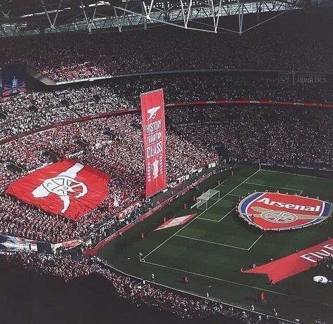 Arsenal Fc Players, Arsenal Stadium, Arsenal Fc Wallpapers, Stadium Wallpaper, Arsenal Wallpapers, Liverpool Soccer, World Cup Tickets, Rare Features, Big Six