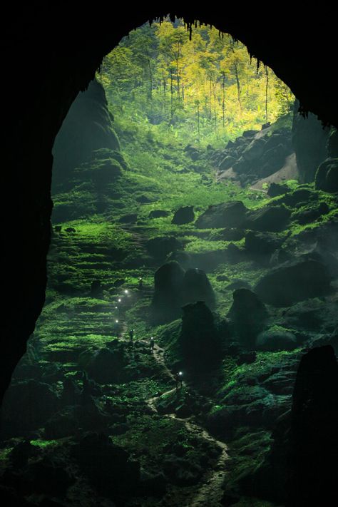 Forest Pics, Son Doong Cave, Matka Natura, Cave In, Have Inspiration, Halong Bay, Vietnam Travel, Dream Decor, Nature Aesthetic