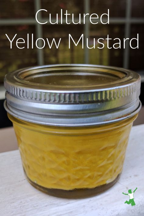 Fermented Homemade Mustard Recipe | Healthy Home Economist Fermented Mustard Recipe, Mustard Recipe Homemade, Yellow Mustard Recipe, Homemade Mustard Recipe, Fermented Mustard, Mustard Recipes, Fermented Vegetables Recipes, Tiny Pantry, Homemade Mustard