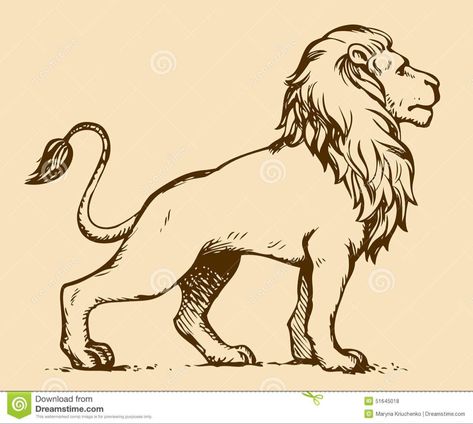 Lion Side View, Drawing Side View, Lion Head Drawing, Lion Profile, Lion Standing, Animal Stencil Art, Drawing Stand, Side View Drawing, Lion Sketch