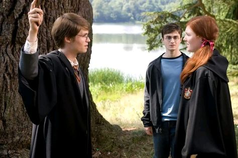 Phoenix Sticker, Lily Evans And James Potter, Harry Potter Deleted Scenes, James Potter Lily Evans, James And Lily Potter, Harry Potter Scenes, I Open At The Close, Harry Potter And Friends, Wizard Clothes