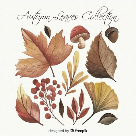 Watercolor style autumn leaves collectio... | Free Vector #Freepik #freevector #watercolor #leaf #nature #autumn Journal October, Drawing Tree, 달력 디자인, Watercolor Forest, Leaves Illustration, Autumn Illustration, Leaf Drawing, Fall Watercolor, Autumn Nature