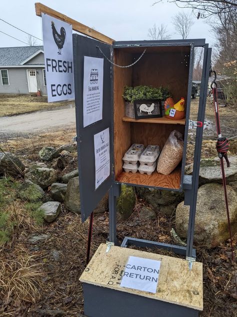 Chicken Display Ideas, Chicken Stand Ideas, Self Serve Farm Egg Stand, Chicken Egg Selling Stand, Roadside Chicken Egg Stand, Fresh Eggs Stand, Egg Selling Stand Diy, Self Service Egg Stand, Mini Farm Stand