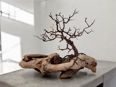 Driftwood Art Ideas, Driftwood Creations, Driftwood Art Sculpture, Twig Crafts, Driftwood Ideas, Driftwood Diy, Planter Wall, Copper Uses, Driftwood Projects