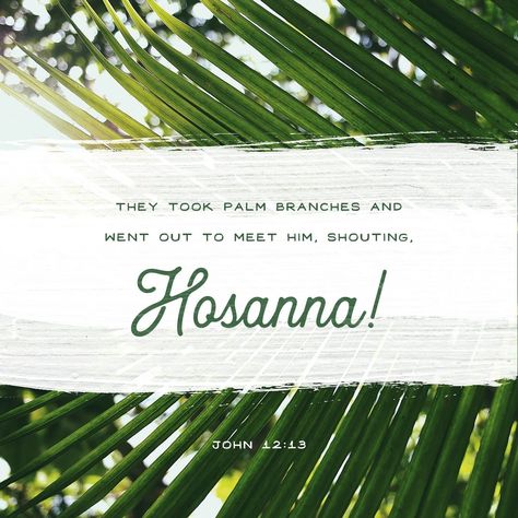 John 12 13, Palm Sunday Quotes, Happy Palm Sunday, Palm Branch, Learning To Pray, Sunday Quotes, Jesus Is Coming, Palm Sunday, Jesus Lives