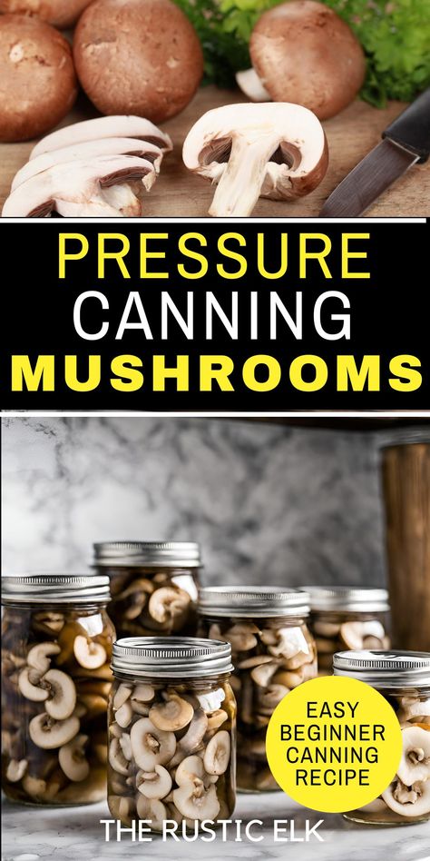 Have mushrooms? Learn how easy it is to pressure can mushrooms sliced or whole right at home! This simple recipe is absolutely delicious to put into homemade soups, combine with onions to slather over a grilled steak, or just eat alone. So much better than storebought, you'll wonder why you didn't do it sooner! Canning Mushrooms, Things To Can, Pickled Mushrooms Recipe, Easy Canning, Pressure Canning Recipes, Canning Kitchen, Homemade Soups, Low Acid Recipes, Home Canning Recipes