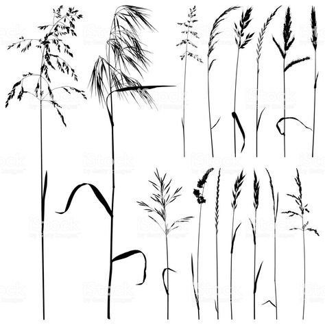 Wild Grass Drawing, Reed Tattoo Design, Prairie Tattoo Ideas, Reeds Tattoo, Grass Tattoo, Wheat Tattoo, Grass Drawing, Lord Of The Rings Tattoo, Bamboo Tattoo