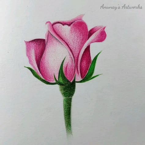 Simple Colour Pencil Drawings Easy, Colour Shading Drawing, Colored Pencil Artwork Ideas Easy, Natural Motif Drawing, Easy Pencil Colour Drawings, Pencil Colour Drawing Flower, Colored Pencil Art Ideas, Pencil Colour Sketches, Colorpencils Drawing