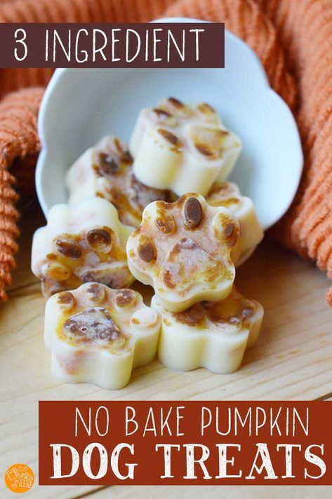 No Bake Pumpkin Dog Treats, Pumpkin Dog Treats Recipe, No Bake Dog Treats, Dog Treats Recipe, Pet Treats Recipes, No Bake Pumpkin, Dog Treats Homemade Easy, Easy Dog Treat Recipes, Frozen Dog Treats