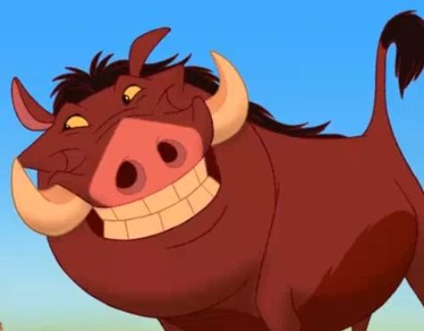 Pumba Lion King, Simba Lion, Jean Reno, Timon And Pumbaa, Funny Reaction Pictures, Animated Cartoons, Cake Inspiration, Lion King, Reaction Pictures