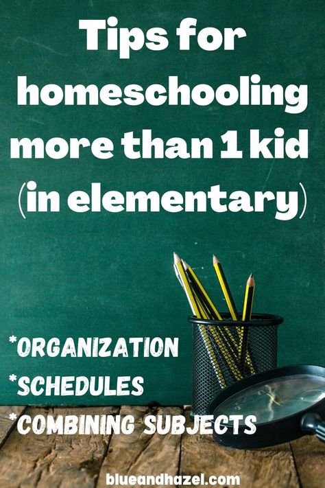 Organize School Work, Homeschool Multiple Kids, Homeschooling 2nd Grade, Homeschool Subjects, Organize School, Homeschool Curriculum Planning, Charlotte Mason Curriculum, Brain Based Learning, Elementary Curriculum