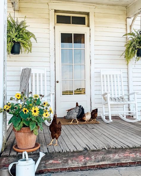 The chickens are getting less chicken 😂 and have really started exploring this week! 🐓❤️ They like to follow me around and check out what… Beauty Bar Salon, Country Porch, Farmhouse Front Porches, Farm Houses, Farmhouse Porch, Farmhouse Front, Old Farm Houses, Storm Door, Farms Living