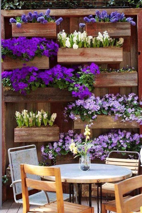 Shed Inspiration, Small Backyards, Vertical Gardens, Have Inspiration, Hanging Garden, Glass Garden, Ideas Garden, Small Patio, Backyards