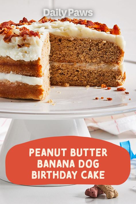 Celebrate National Dog Day with the perfect homemade peanut butter banana dog cake recipe! #petcare #pets #pethealth #healthypets #petnutrition #petdiet #kittenhealth #puppyhealth #nationaldogday #petfoodrecipes #dognutrition #dogfood #dogbirthday Peanut Butter Dog Birthday Cake, Peanut Butter Banana Cake For Dogs, Dog Cake Banana, Dog Cake Recipe Easy Peanut Butter And Banana, Banana Cake For Dogs, Dog Birthday Cake Pumpkin Peanut Butter, Peanut Butter Banana Dog Cake, Cake For Dogs Recipe Easy, Dog Birthday Cake Banana