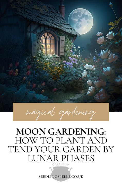 Image of a serene garden illuminated by moonlight. Explore our guide to moon gardening and harness the power of lunar phases for a flourishing garden Planting By The Moon, Moon Gardening, Gardening By The Moon, Bird Habitat, Tarot Card Artwork, Gardening Activities, Sowing Seeds, Lunar Phases, Thriving Garden