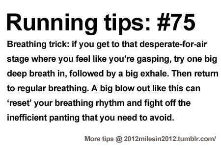 Marathon Tips, Running 10k, Running Plan, Cross Country Running, Running Quotes, Run It, Sport Quotes, Running Tips, How To Start Running