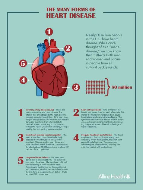 Facts About Heart, Heart Surgery Recovery, Heart Structure, Heart Valves, Heart Month, Congenital Heart Defect, Heart Defect, About Heart, Congenital Heart