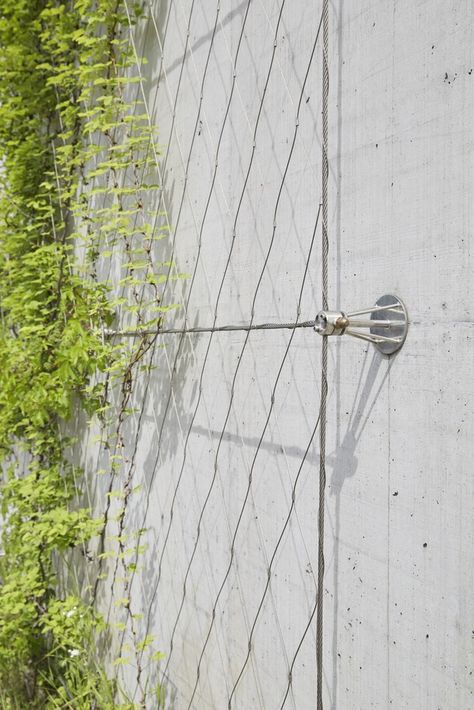 Gallery of Creating Vertical Gardens and Green Facades with Steel Cables - 19 Green Wall Design, Vertical Garden Design, Green Facade, Vertical Garden Wall, Alpine Plants, Vertical Gardens, Walled Garden, Garden Types, Garden Architecture