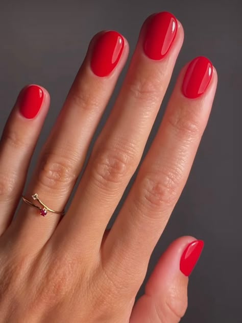 Short round nails painted red Shellac Round Nails, Short Rounded Nails Gel, Oval Short Red Nails, Short Oval Nails Color, Red Nails Simple Short, Gel Nails Red Short, Gel Mani Short Nails Red, Candy Red Nails Short, Short Round Acrylic Nails Red