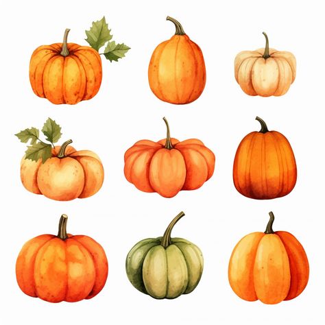 Autumn Reference, Facts About Halloween, Planner Themes, Fall Drawings, Pumpkin Drawing, Watercolor Pumpkin, 6th Grade Art, Halloween Facts, Jellyfish Art