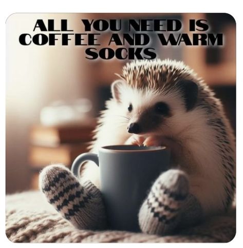 Stay Warm Quotes, Kaffe Humor, Warm Quotes, Coffee Jokes, Coffee Quotes Funny, Funny Coffee Quotes, Good Morning Funny Pictures, Coffee Talk, Coffee Pictures