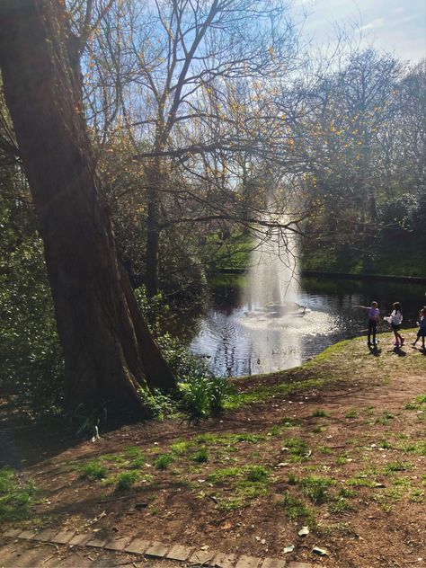 Sunshine Trees, Oc Moodboard, Sefton Park, Fountain Waterfall, Summer Core, Spring Core, Vacation 2024, Oc Aesthetic, Fav Place