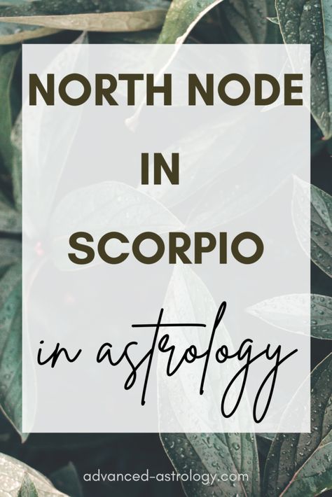 North Node In Scorpio, Astrology In Hindi, Tarot Card Layouts, Natal Chart Astrology, South Node, North Node, Chart Astrology, Planet Signs, Astrology Aquarius