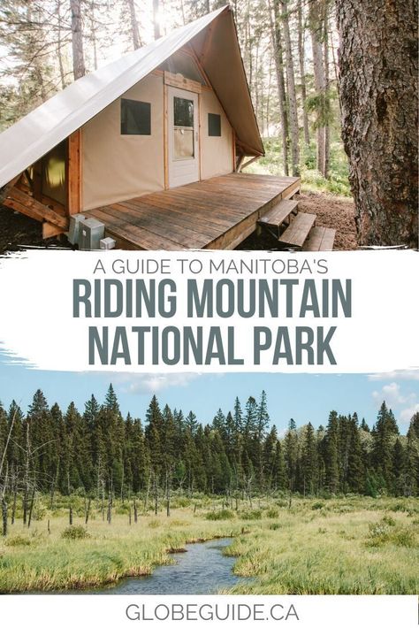 Everything you need to know about planning the ultimate summer getaway in Wasagaming and Riding Mountain National Park, Manitoba. Canada travel | Travel in Canada | Manitoba travel | Canada photography Riding Mountain National Park, Manitoba Travel, Travel In Canada, Research Plan, Best National Parks, Canada Photography, Parks Canada, Manitoba Canada, Backpacking Tips