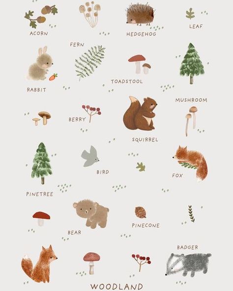 Woodland Animals Illustration, Forest Animals Illustration, Squirrel Illustration, Woodland Illustration, Hedgehog Illustration, Idea Generation, Woodland House, Happy Saturday Everyone, Animals Illustration