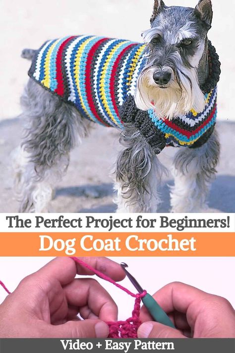 How To Crochet A Dog Sweater For Beginners, Crochet Dog Sweater Tutorial, Loom Knit Dog Sweater Free Pattern, Crochet Dog Jersey Free Pattern, Dog Jersey Crochet Pattern, Easy Dog Sweater Pattern, Crochet Dog Coat Free Pattern, Crochet Dog Sweater Free Pattern Large, Crocheted Dog Sweaters Free Pattern Easy