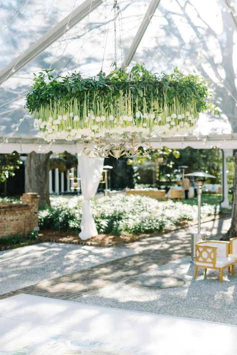 Tulip Chandelier, Floral Chandelier Wedding, Chandelier Installation, Classic Southern Wedding, Tulip Wedding, Wedding Destinations, Wedding Canopy, Wedding Chandelier, Golden Wedding Anniversary