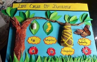 Butterfly Life Cycle Project, Butterfly Life Cycle Preschool, Life Cycles Preschool, Butterfly Life Cycle Activity, Butterfly Lessons, Hungry Caterpillar Craft, Life Cycle Of A Butterfly, Cycle Of A Butterfly, Life Cycle Craft