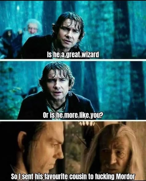 Funny Lotr, Tolkien Hobbit, Lotr Funny, Funny Today, Lotr Art, Jrr Tolkien, Legolas, Gandalf, Book Memes