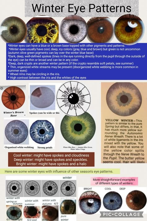 Winter Eye Pattern Color Analysis, Seasonal Eye Patterns, Spring Eye Pattern Color Analysis, Bright Winter Eyes, Seasonal Color Analysis Eyes, Winter Eye Pattern, Spring Eye Pattern, Color Analysis Eye Pattern, Eye Pattern Color Analysis