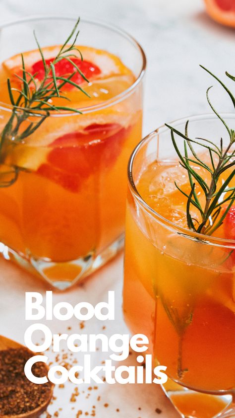 Blood Orange Cocktails Orange Alcohol Drink, Orange Drinks Alcohol, Orange Cocktail Recipes, Orange Cocktail, Orange Simple Syrup Cocktail, Orange Cocktails Halloween, Blood Orange Ginger Beer Cocktail, Blood Orange Vodka Cocktails, Blood Orange Mocktail