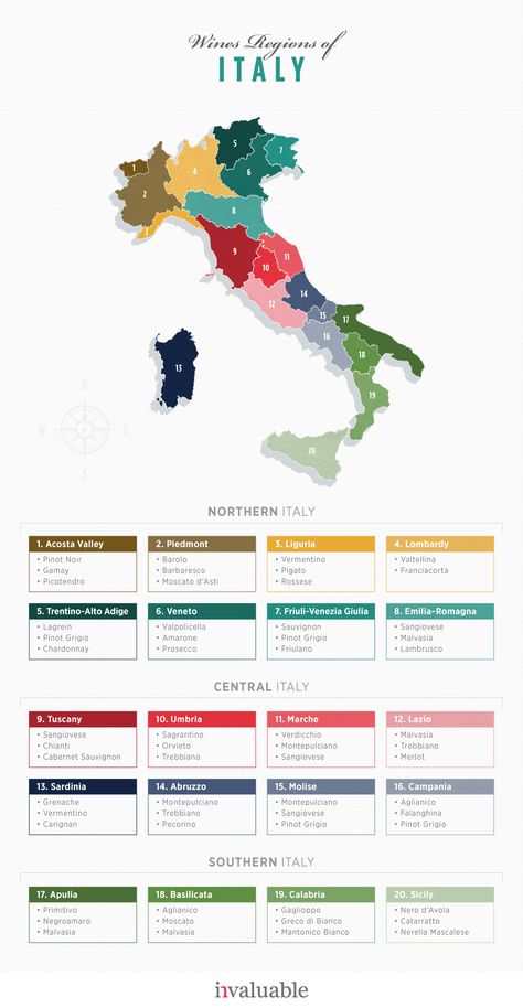 Wine Map Italy, Wine In Italy, Wine Region Map, Best Italian Wines, Wine Chart, Italian Wines, Wine Map, Wine Knowledge, Wine Education