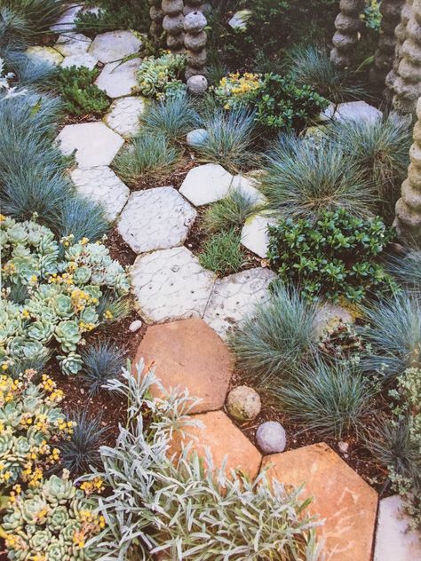 Desert Scape Front Yard, Mediterranean Entrance, Desert Scape, California Landscaping, Garden Pavers, Succulent Landscape Design, Succulent Landscaping, Tower Garden, Garden Design Layout