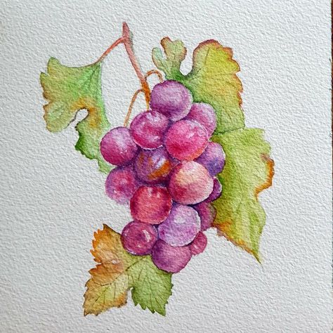 Grape Painting Easy, Watercolour Grapes, Grape Watercolor, Grapes Drawing, Grapes Watercolor, Watercolor Pumpkins Autumn, Grape Drawing, Grape Painting, Food Art Painting