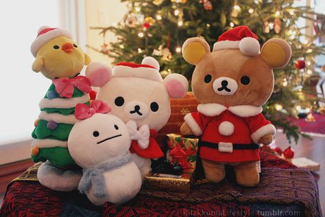 Kiiroitori, Korilakkuma and Rilakkuma wish you Merry Christmas. Korilakkuma And Rilakkuma, Wish You Merry Christmas, Rilakkuma, Stuffed Animals, Merry Christmas, Lifestyle, Christmas, Animals