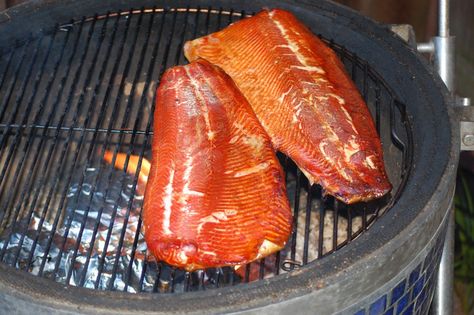 A easy and delicious smoked salmon with a dry brine recipe that is perfect as a main course, appetizer or with a salad. Smoked Salmon Brine, Smoked Trout Recipe, Smoked Fish Recipe, Indian Appetizer Recipes, Trout Recipe, Dry Brine, Smoked Salmon Appetizer, Trout Recipes, Smoked Salmon Recipes