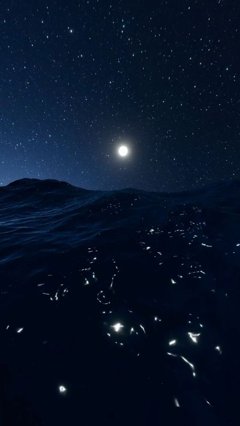 Stars Reflected In Water, Underwater At Night, Ocean Of Stars, Ocean Stars, Star Sea, Star Of The Sea, Frog Wallpaper, Sea Of Stars, Wedding Song