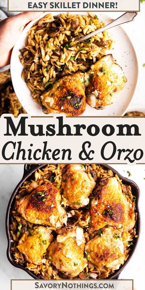 Orzo Recipes Mushroom, Chicken Mushroom Orzo Recipes, Healthy Dinner Recipes Orzo, Chicken Thighs Mushroom Recipes, Chicken Thigh Orzo Recipes, Chicken Thighs And Orzo, Chicken Mushroom Orzo, Orzo Chicken Recipes, Orzo And Chicken