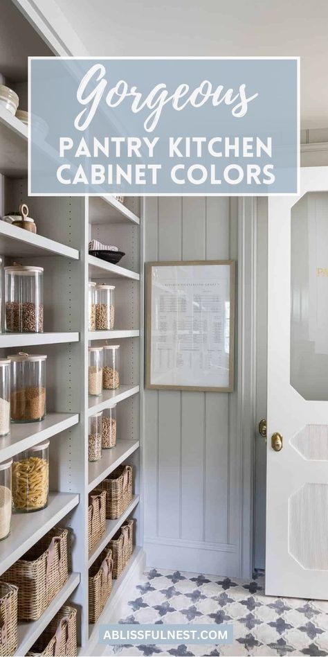 Get organized in style with these gorgeous pantry kitchen cabinet colors! A fresh coat of paint can transform your pantry from drab to fab, creating a space that's both functional and beautiful. Check out these inspiring ideas and give your pantry a makeover it deserves!  #pantrygoals #pantrycabinetcolors #kitchenrefresh Painted Pantry Cabinet, Pantry Paint Color Ideas, Colored Pantry Cabinets, Dark Painted Pantry, Painting Pantry Interior, Pantry Colour Schemes, Painted Pantry Shelves, Pantry Paint Colors Open Shelving, Pantry Door Paint Ideas