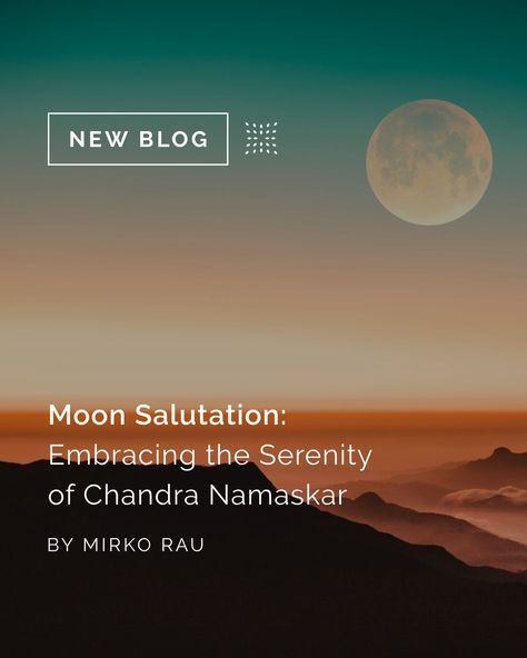 "Unlike the energizing Surya Namaskar, Chandra Namaskar focuses on introspection and the soothing aspects of yoga, promoting a fluid motion that reflects the cyclical nature of life." - Mirko Rau

In today's blog, Mirko Rau shares the benefits of practicing Chandra Namaskar. 

Read the full blog today 🙏 Chandra Namaskar, Triangle Pose, Reflective Practice, Forward Bend, Surya Namaskar, Mountain Pose, Cobra Pose, Lunar Cycle, Sun Salutation