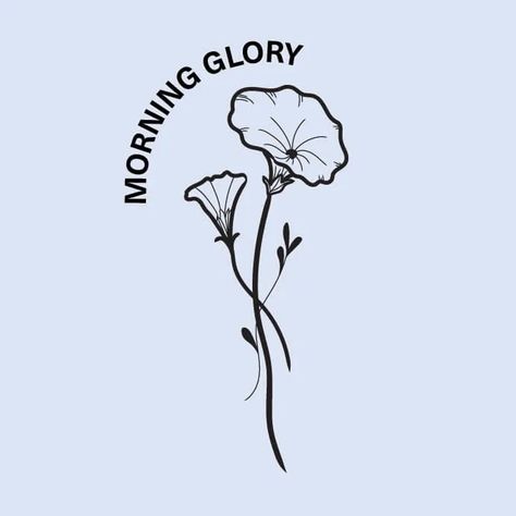 The Meaning of September Birth Month Flowers | Bloom & Wild Morning Glory Flower Tattoo, Flower Morning Glory, September Birth Month, September Flower, September Birth Flower, September Flowers, Bloom And Wild, Morning Glories, Flower Meanings