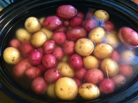 Red Potatoes In Crockpot, Small Potatoes Recipe, Crockpot Thanksgiving, Crockpot Potatoes, Baby Potato Recipes, Baby Potato, Red Potato Recipes, Roasted Baby Potatoes, Whats Cooking