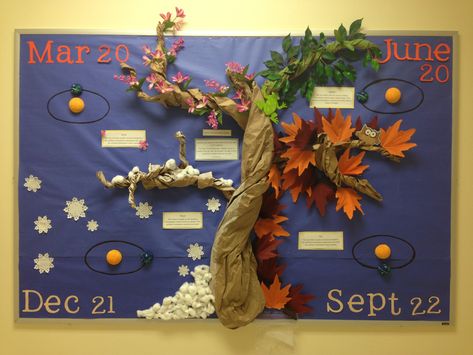 4 seasons bulletin board made by yours truly and 2 of my awesome classmates! Season Display Board Eyfs, 4 Seasons Bulletin Board Ideas, Weather Bulletin Board Kindergarten, Four Seasons Bulletin Board Ideas, Season Board Preschool, 4 Seasons Kindergarten, Fall Science Bulletin Boards, Seasons Board Preschool, Seasons Display Eyfs