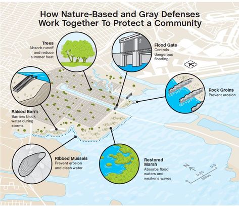 Blue Green Infrastructure Diagram, Blue Green Infrastructure, Blue Infrastructure, Green Building Concept, Infrastructure Architecture, Ecosystem Services, City Concept, Green Infrastructure, Urban Sprawl